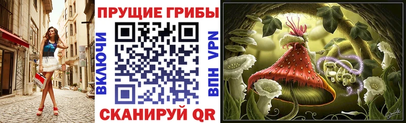 ОМГ ОМГ вход  Шали  Галлюциногенные грибы GOLDEN TEACHER 