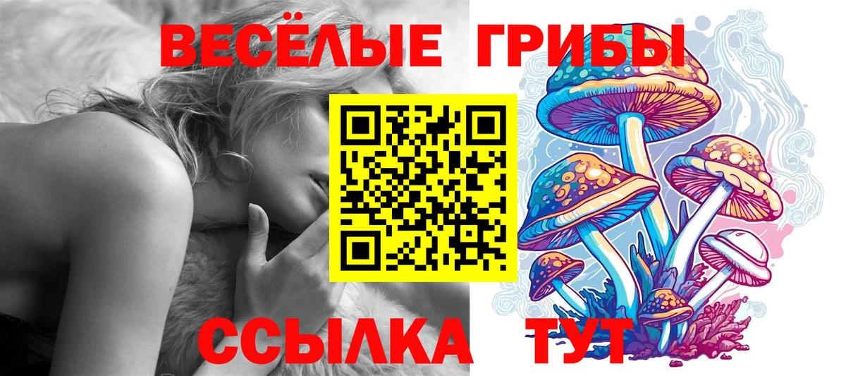 Псилоцибиновые грибы Psilocybe  Вход с VPN  Шали 