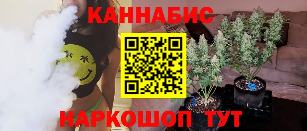 Каннабис OG Kush Шали